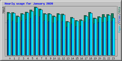 Hourly usage for January 2020