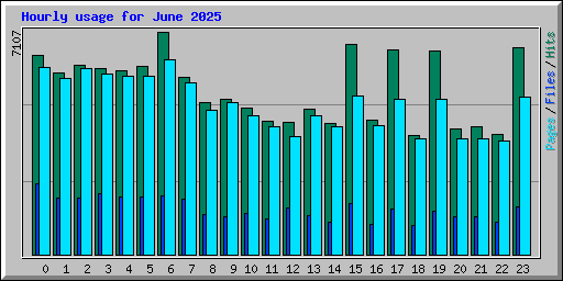 Hourly usage for June 2025