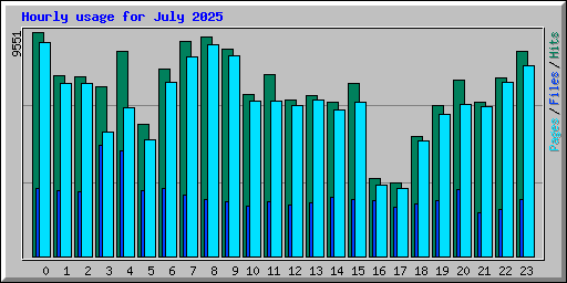 Hourly usage for July 2025