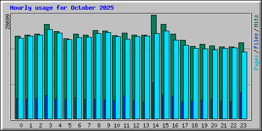 Hourly usage for October 2025