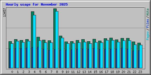 Hourly usage for November 2025