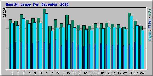 Hourly usage for December 2025