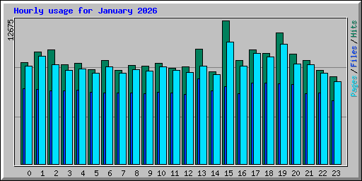 Hourly usage for January 2026