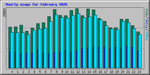 Hourly usage for February 2026