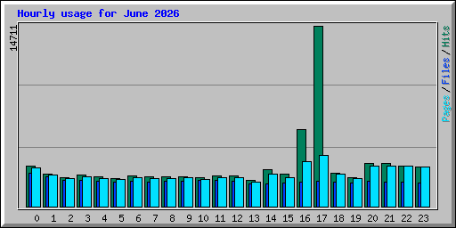 Hourly usage for June 2026