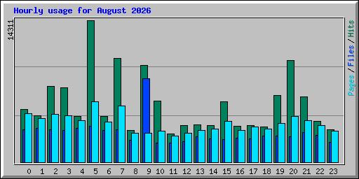 Hourly usage for August 2026