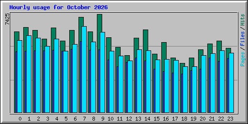 Hourly usage for October 2026